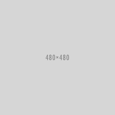 480x480x2